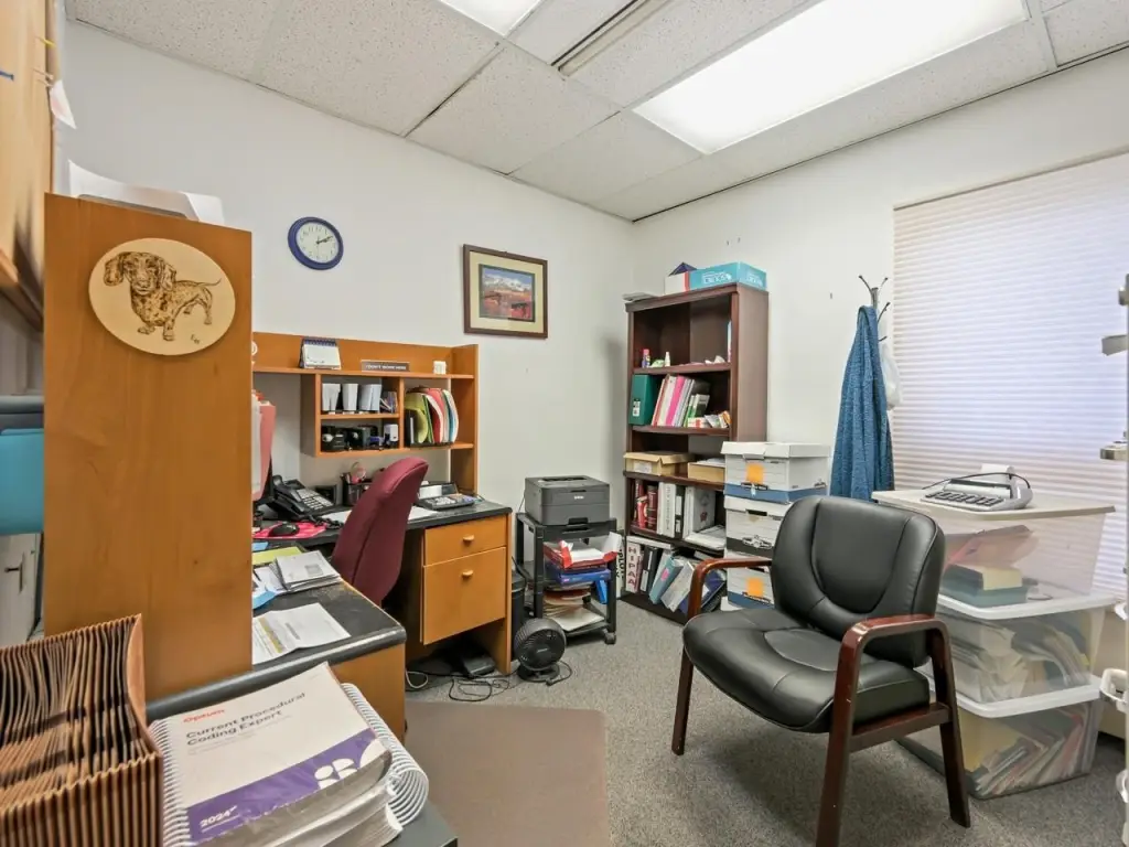 Picture 15