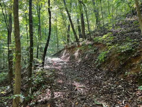 Land in North GA Mountains