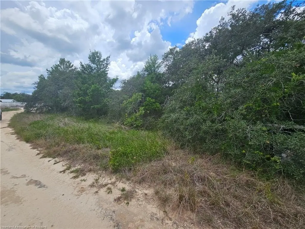 Picture 5