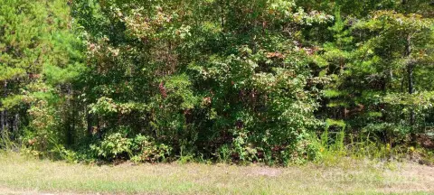 China Grove Building Lot