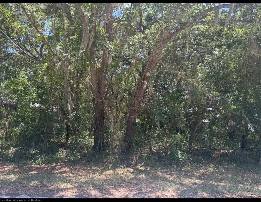 Picture 3