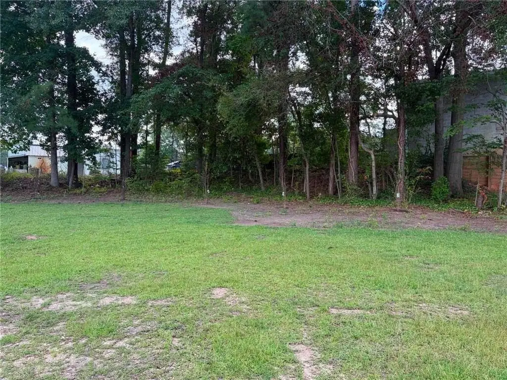 Picture 7