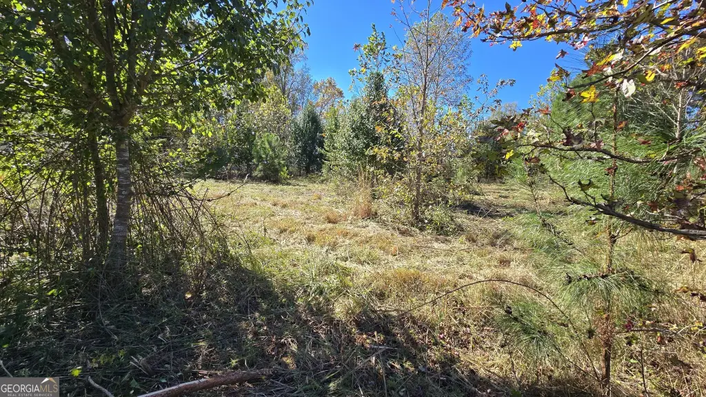 Picture 16