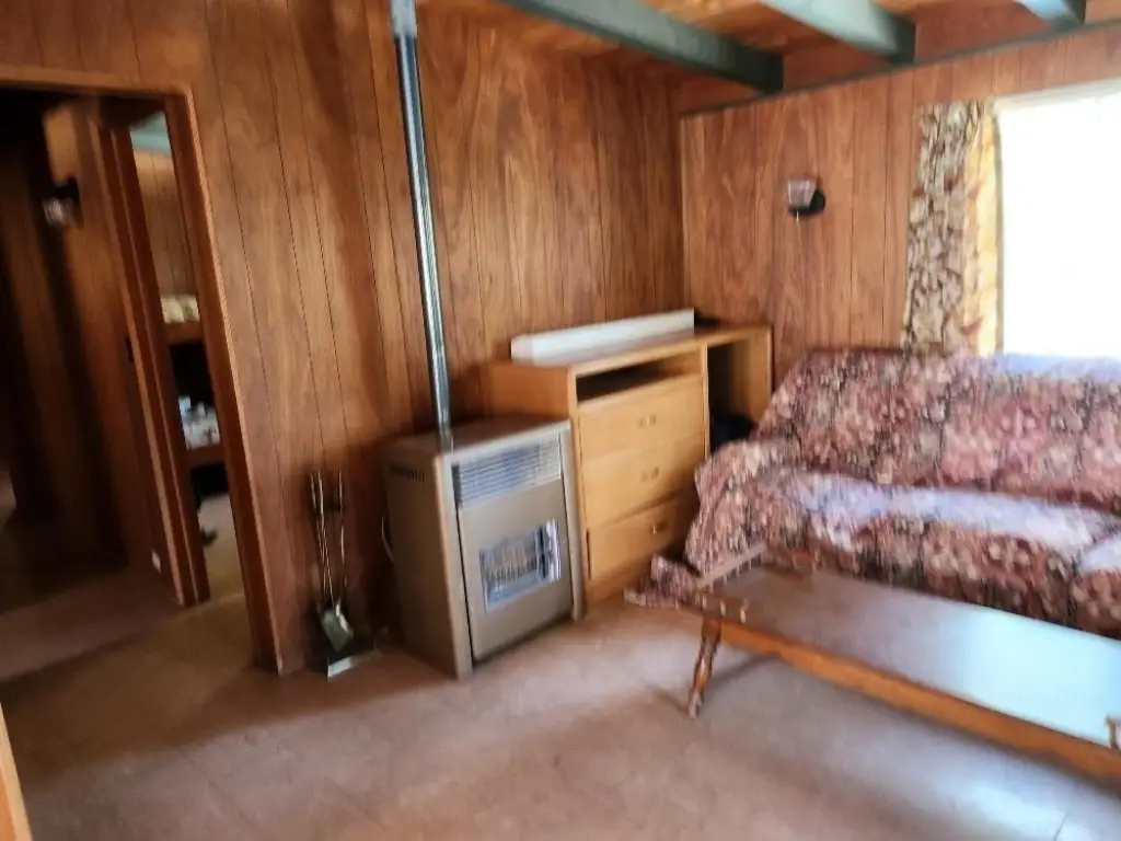 Picture 5