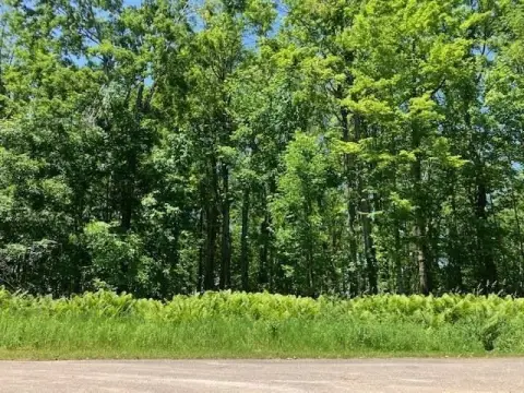 Wooded Land Near Crooked Lake