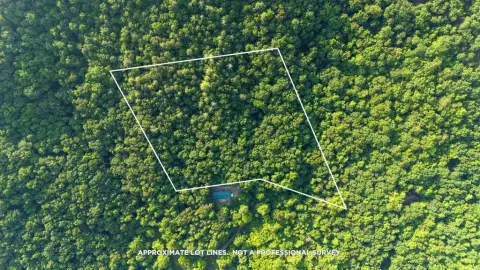 Franklin NC Wooded Land Parcel