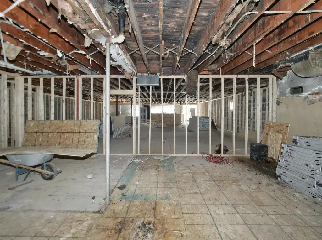 Picture 5
