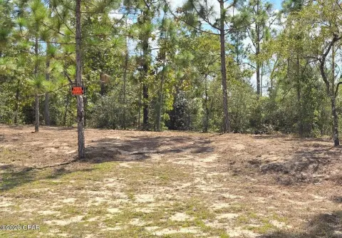 Wooded Lot in Sunny Hills