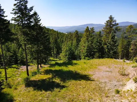 Lakeside Timbered Land Opportunity