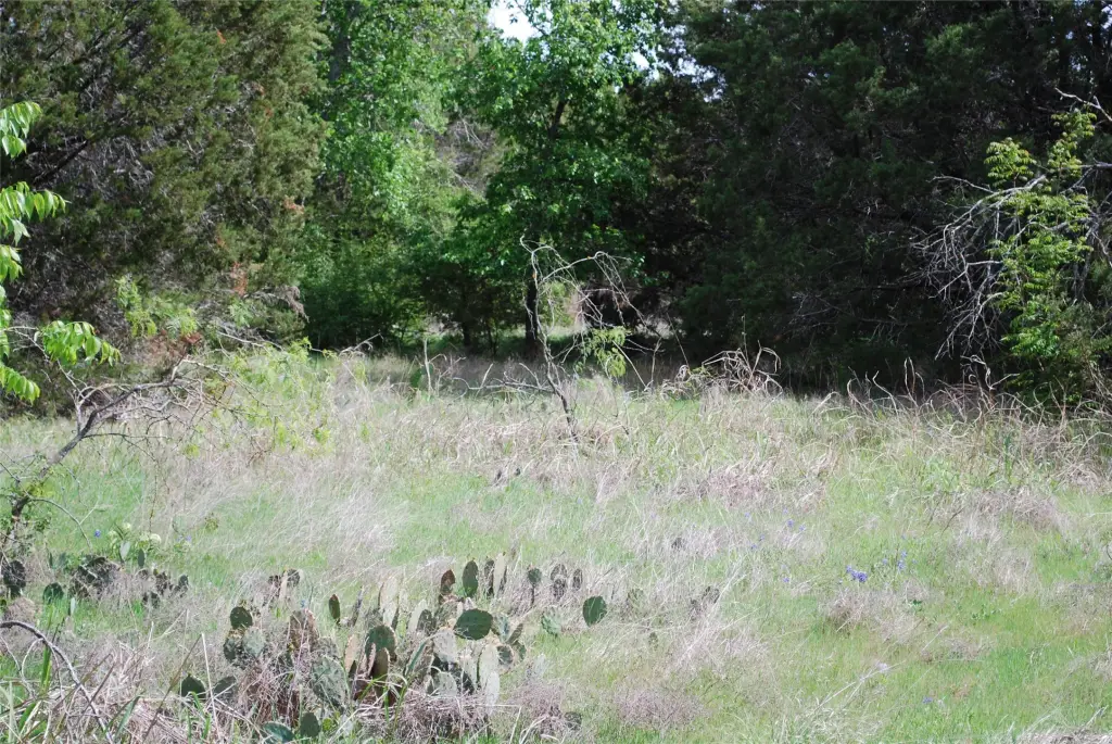 Picture 4