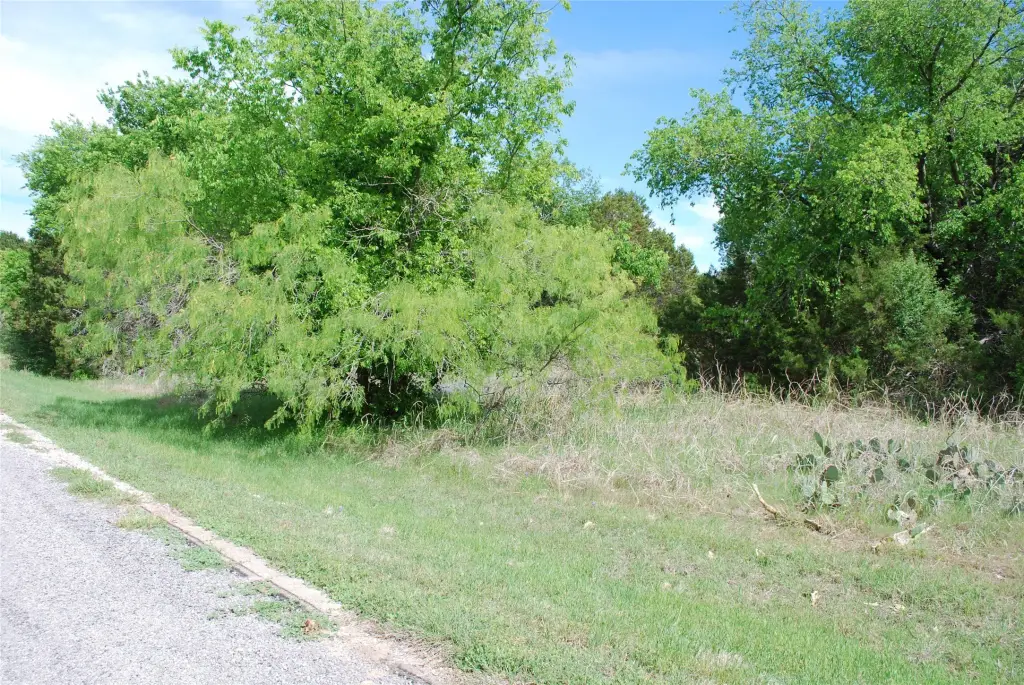 Picture 7