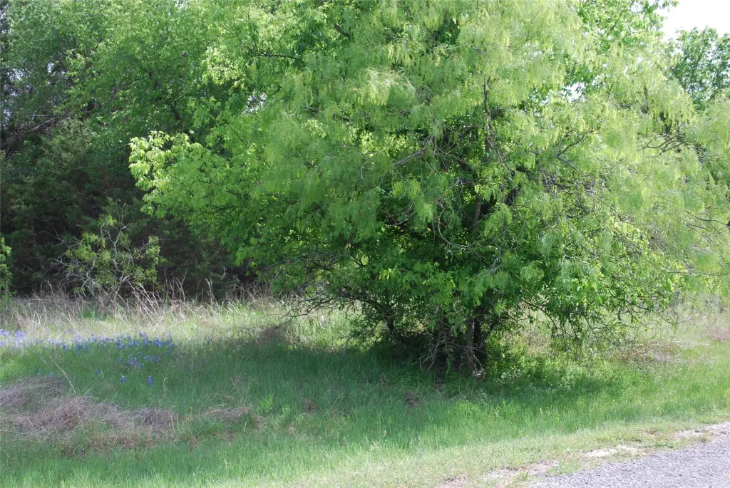 Picture 3