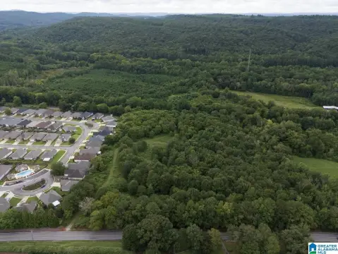 SPRINGVILLE, AL Land For Sale