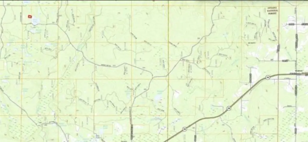 Picture 17
