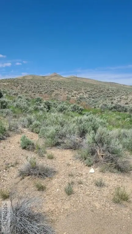 Picture 23