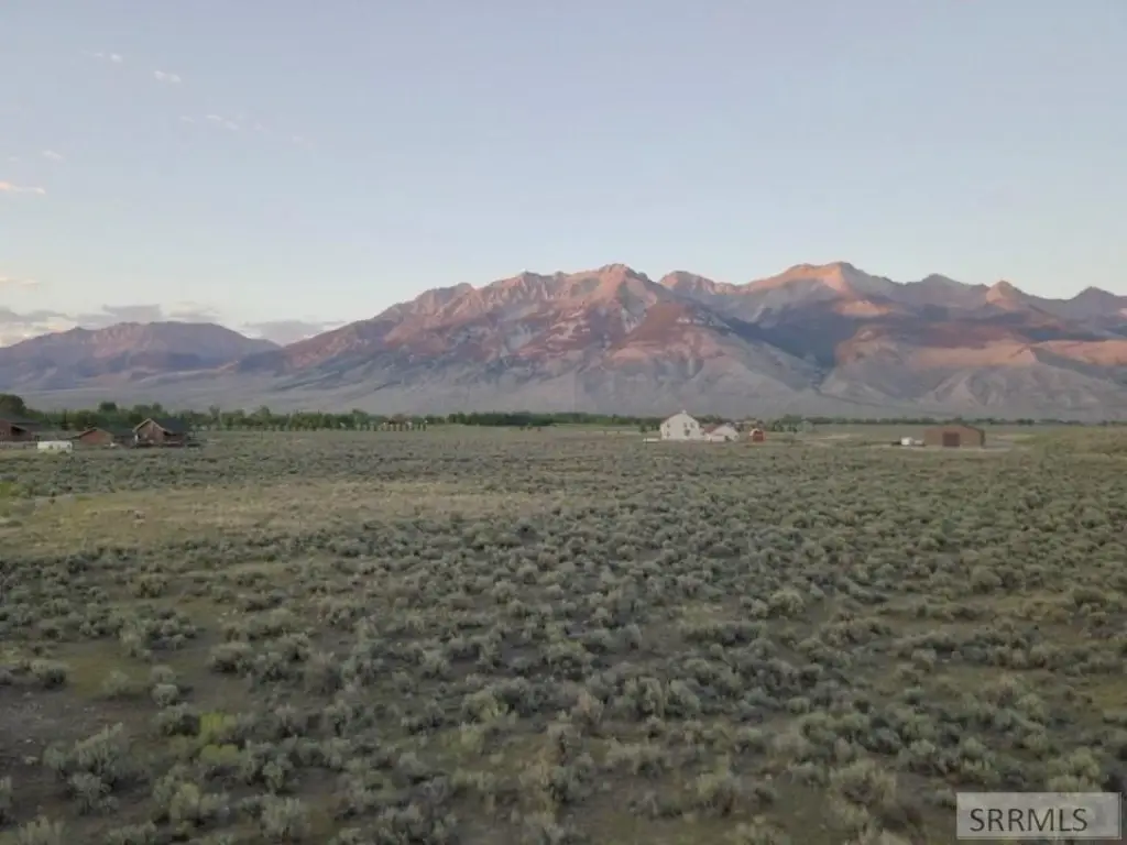 Picture 6