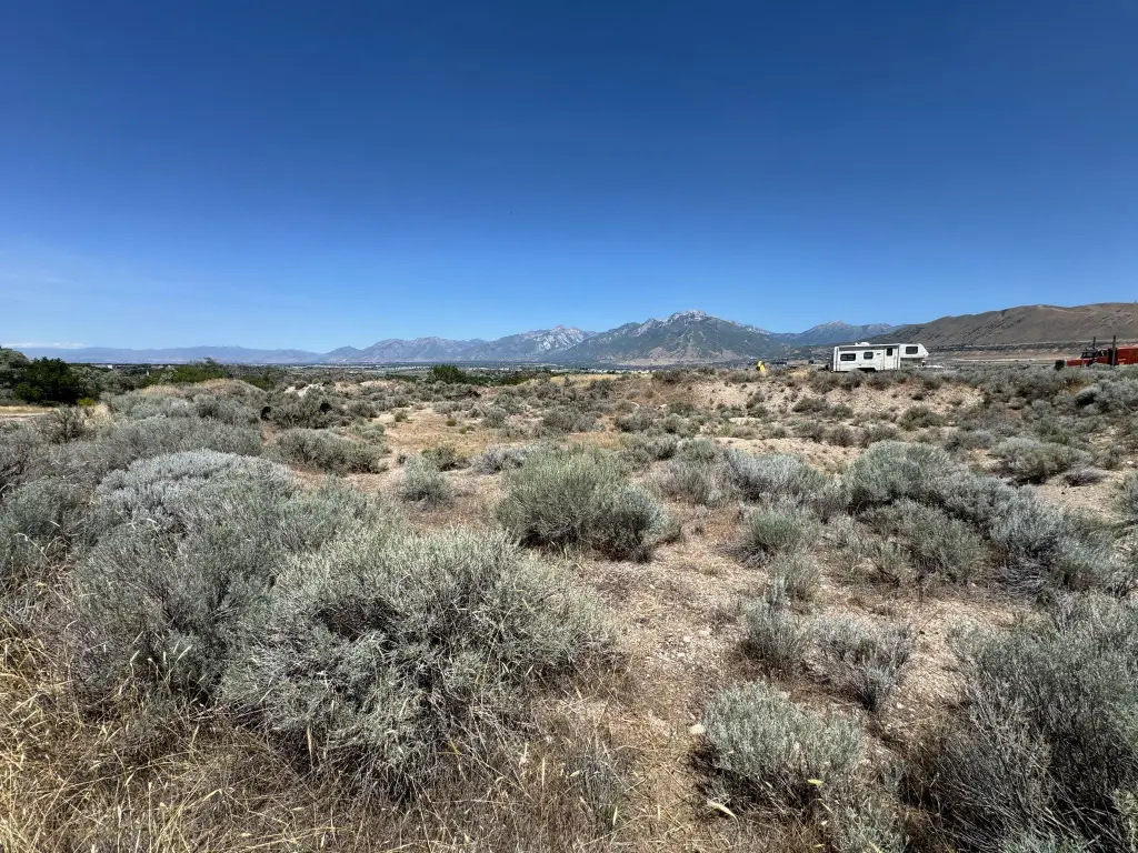 Picture 25