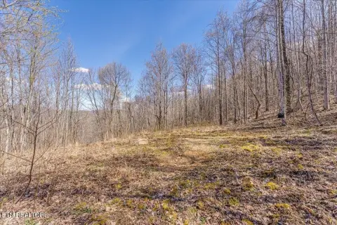 Recreation and Homesite Land