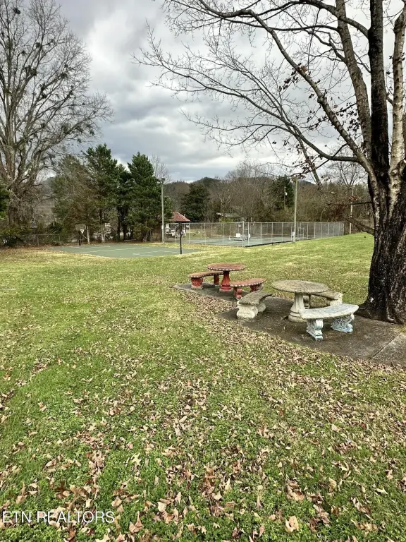 Picture 23