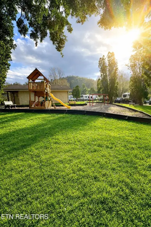 Picture 20