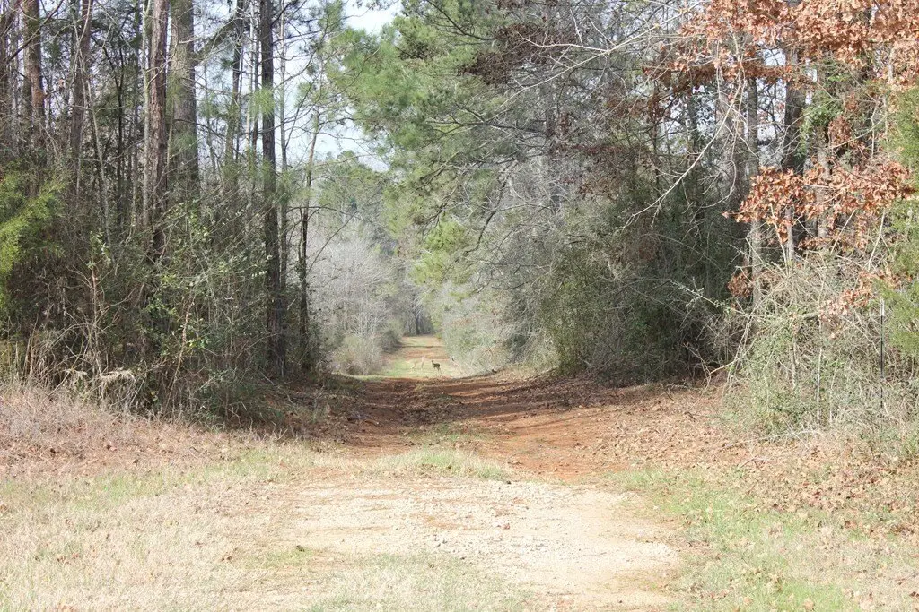 Picture 23