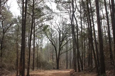 Unrestricted Hunting Land