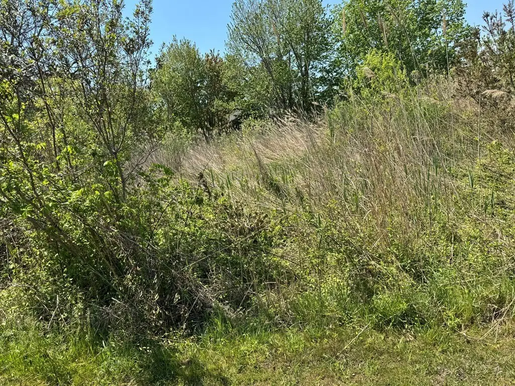 Picture 8