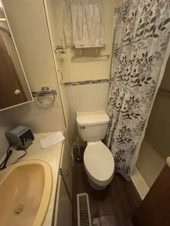 Picture 8