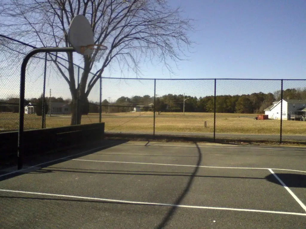Picture 3