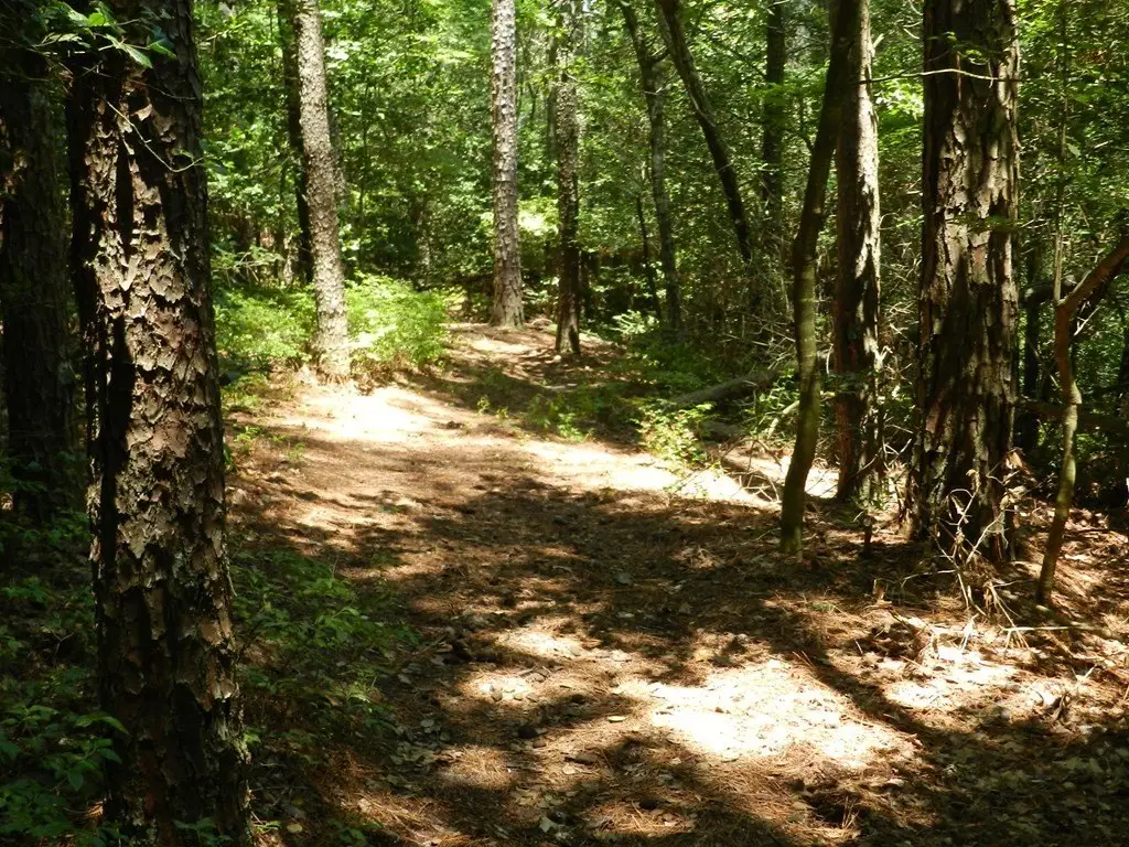 Picture 16