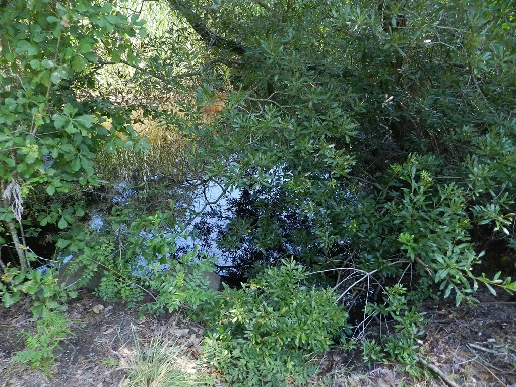 Picture 21