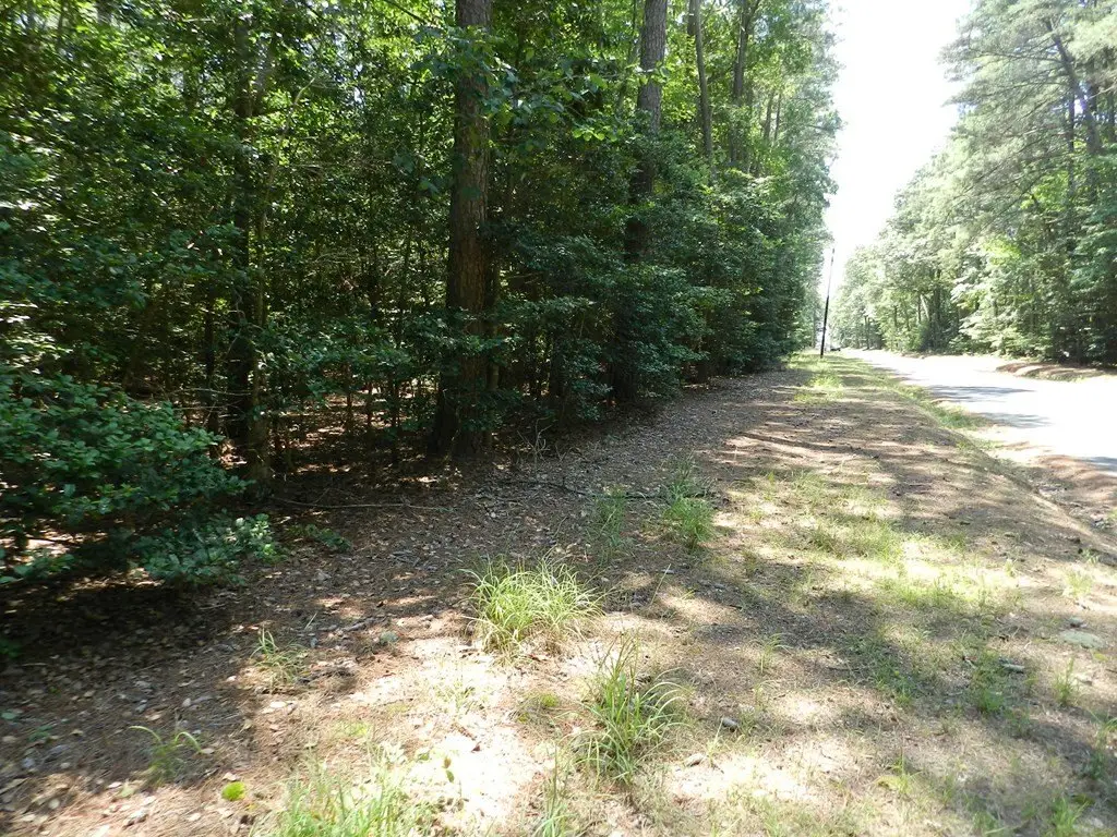Picture 7