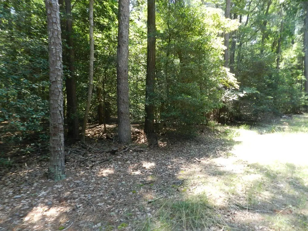 Picture 26