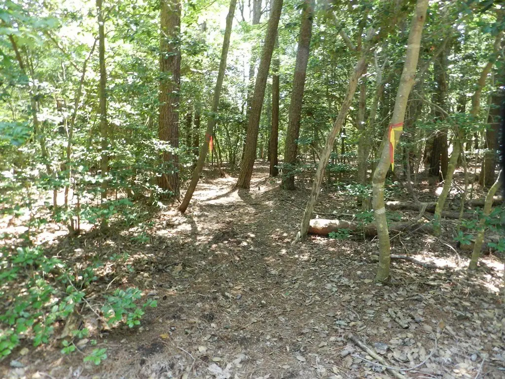 Picture 24