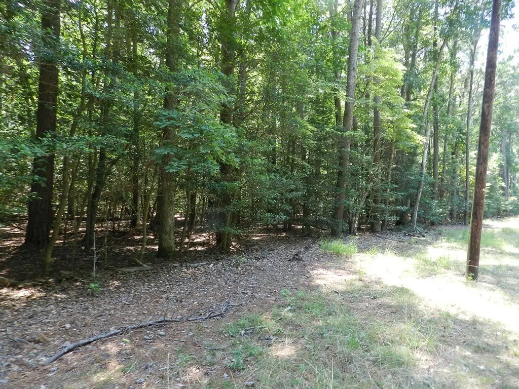 Picture 25
