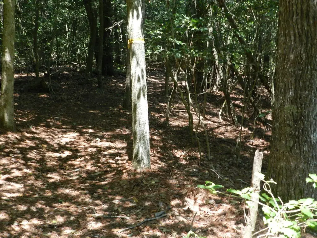 Picture 12