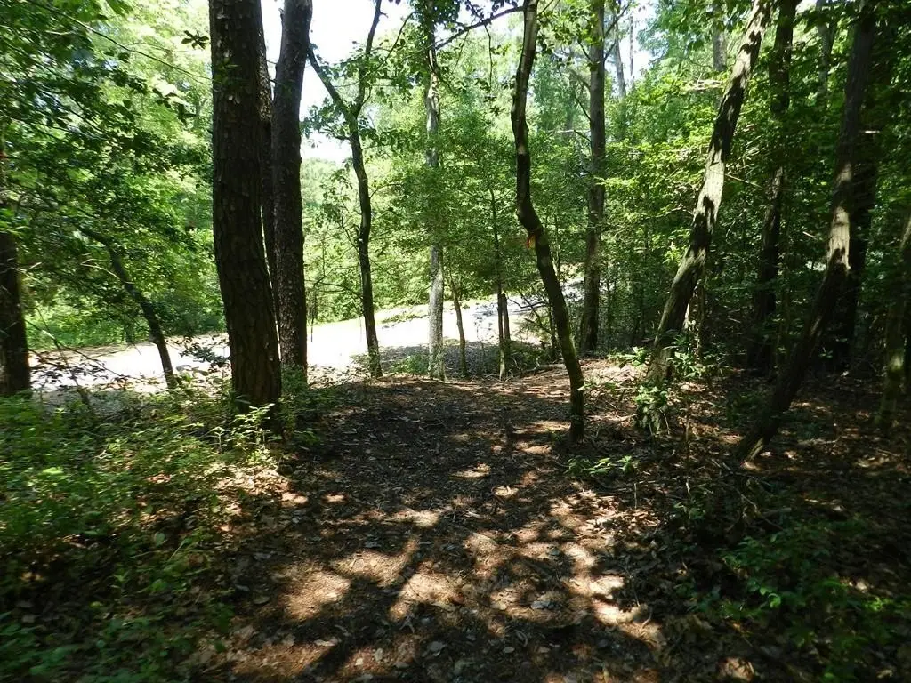 Picture 2