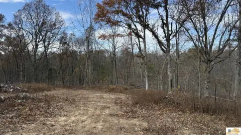 35 Acres in Hart County