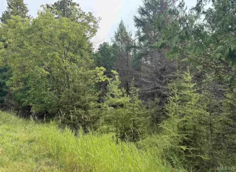 Wooded Lot in Rapid River
