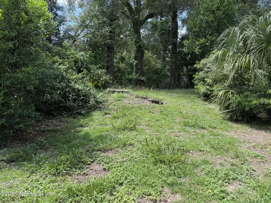 Picture 18
