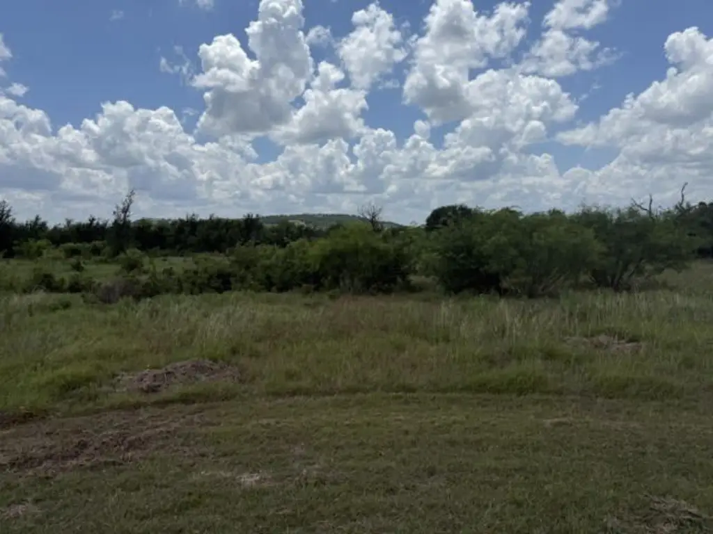 Picture 10