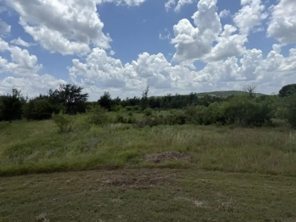 Picture 8