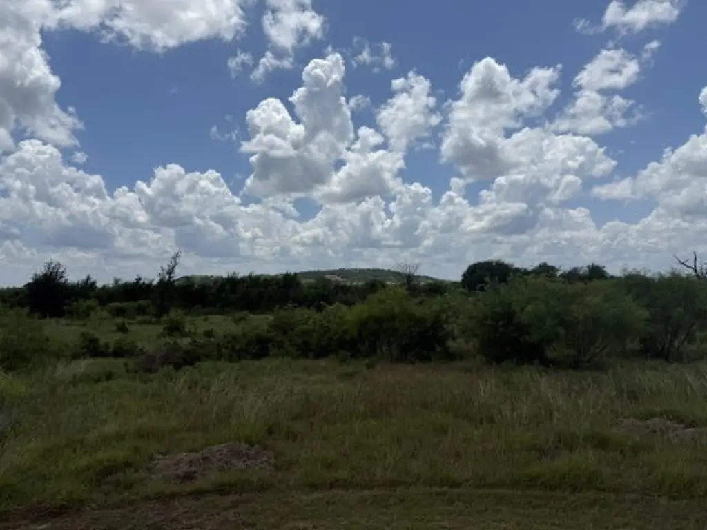 Picture 7