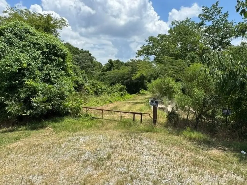 Picture 35