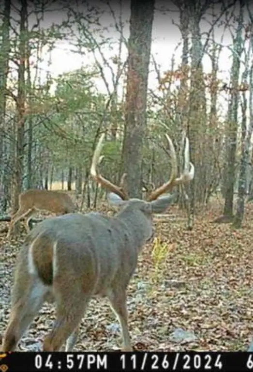 Picture 42