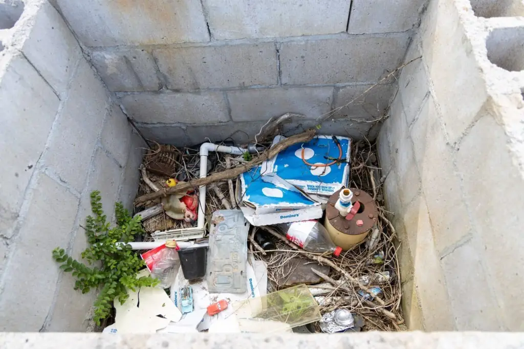 Picture 21