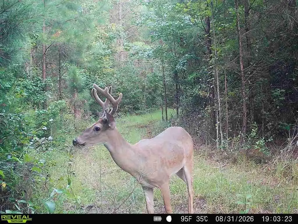 Picture 13