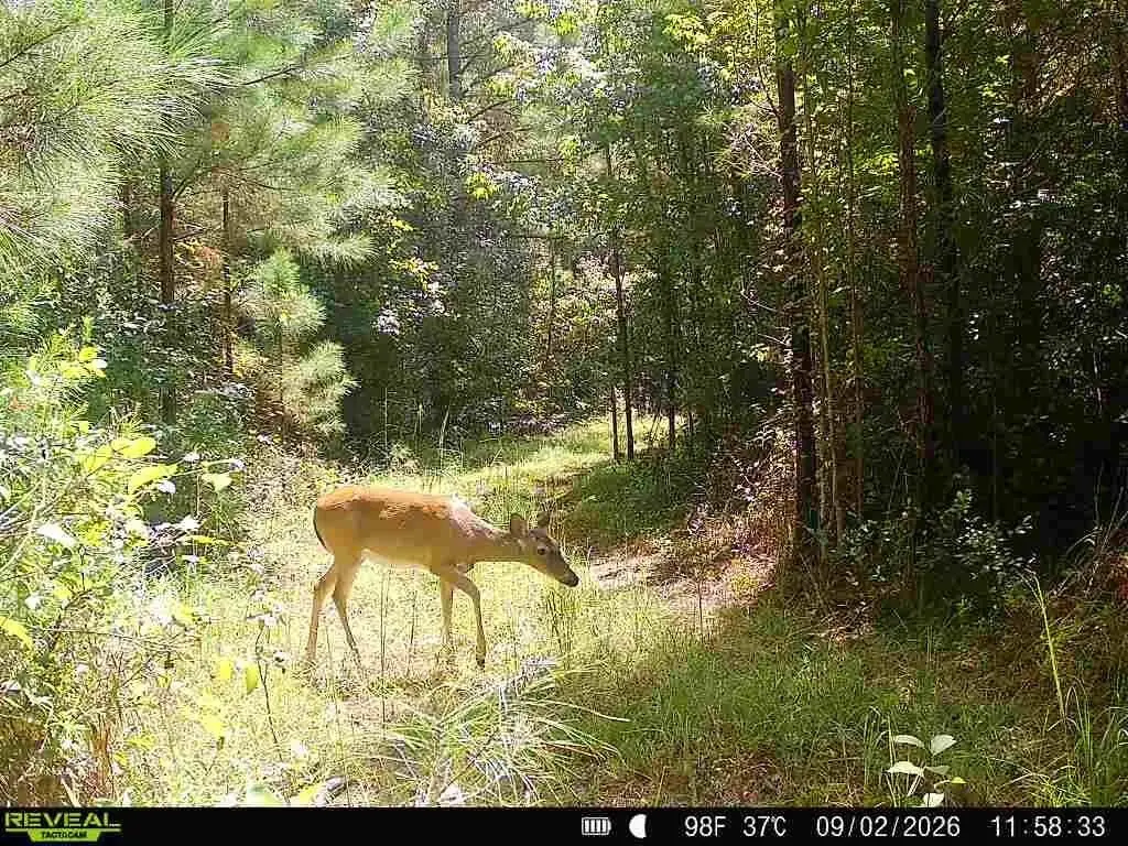 Picture 2