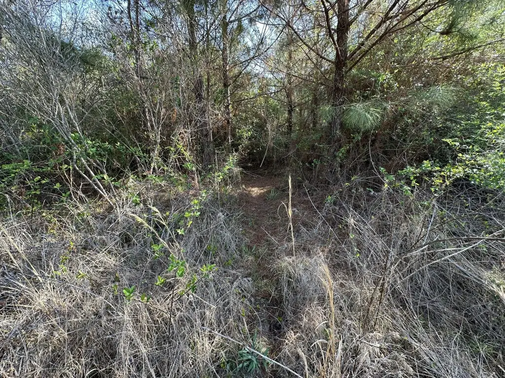 Picture 18
