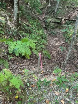 Ellijay, GA Acreage For Sale